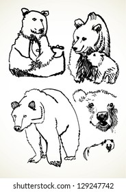 A vector illustration of bear sketches.