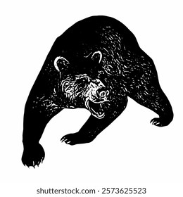 A vector illustration of a bear walking with a slightly hunched posture. Muscle and fur details are vividly drawn.