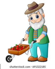 Vector illustration of Bearded gardener pushing a strawberry cart