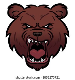 Vector illustration of a bear's head on white background