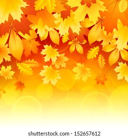 Vector illustration of a beautiful autumn background with falling leaves