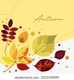 Ilustración vectorial de hermosas hojas de otoño aisladas sobre un fondo blanco. hojas secas y hojas húmedas. Este diseño tiene el concepto de dar la bienvenida a las estaciones cambiantes, otoño