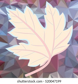 vector illustration of beautiful autumn maple leaf