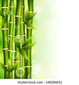 Vector illustration of a beautiful background with green bamboo