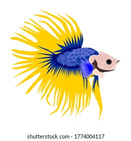 
vector illustration of a beautiful betta fish