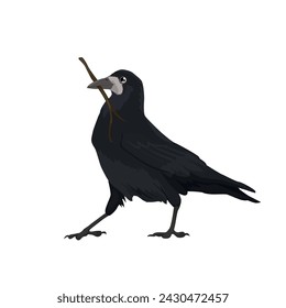 Vector illustration of beautiful big black raven carries a branch on a white background
