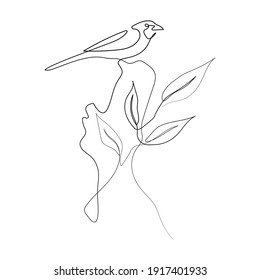 Vector Illustration of Beautiful Bird Line Art Drawing. Good for Cover, Poster, T-Shirt, Graphic Design Print, and others.