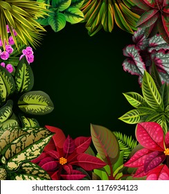 vector illustration of the beautiful black background with the nature accent