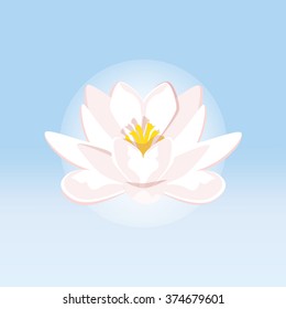 Vector illustration beautiful blue water lily or lotus flower isolated on blue background.