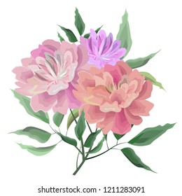 Vector illustration. Beautiful branch of peonies. Bouquet of peonies. Elements for design. All elements are isolated. Peonies in watercolor style.
