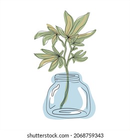 Ilustración vectorial con bellas ramas de una planta. Vidrio y ramas con hojas. Composiciones de moda para imprimir en ropa y decoración interior.