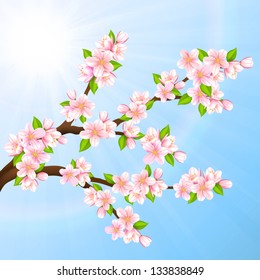 Vector illustration beautiful branches of Sakura on a blue sky