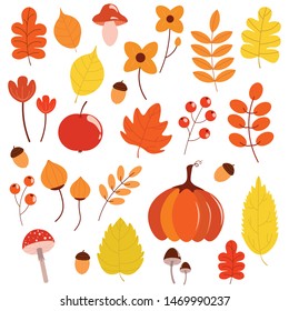 Vector illustration. Beautiful, bright colorful set with leaves, berries, mushrooms, pumpkin, apple, flowers. Autumn illustration. White background. 