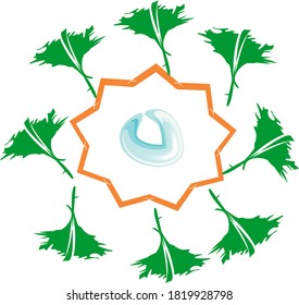 Vector illustration beautiful bright wreath frame with pattern leaf 