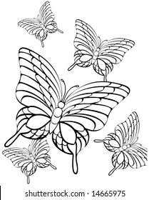 vector illustration of beautiful butterflies