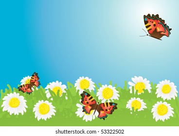 Vector illustration of beautiful butterflies hovering over chamomile meadow