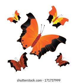 Vector illustration of beautiful butterfly