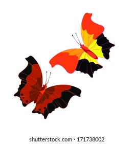 Vector illustration of beautiful butterfly