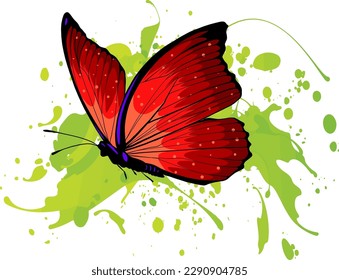 vector illustration Beautiful Butterfly, isolated on white background