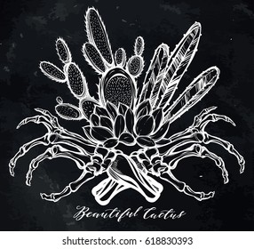 Vector illustration. Beautiful cactus with bones. Handmade. Tattoos, prints on T-shirts, postcard for you, background chalkboard