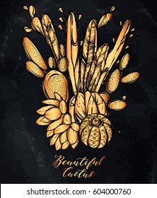 Vector illustration. Beautiful cactus. Handmade, set of plants, prints on T-shirts, tattoos, background chalkboard, gold color, postcard for you
