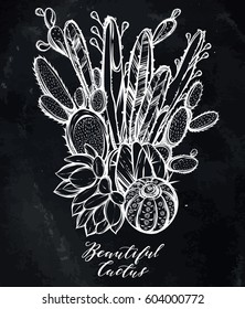 Vector illustration. Beautiful cactus. Handmade, set of plants, prints on T-shirts, tattoos, background chalkboard, postcard for you