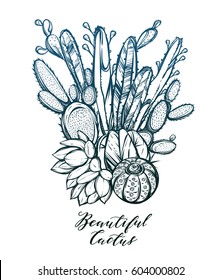 Vector illustration. Beautiful cactus. Handmade, set of plants, prints on T-shirts, tattoos, postcard for you, background white, Dark green blue color