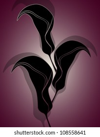 Vector illustration of beautiful cala