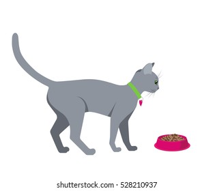 Vector illustration of  beautiful cat going to bowl with meal