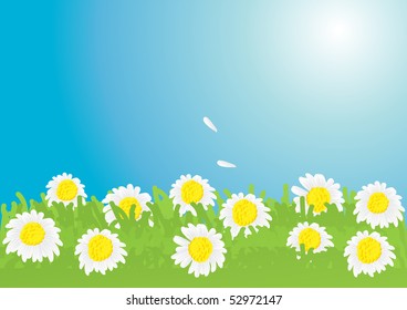 Ilustración vectorial del precioso prado de camomila