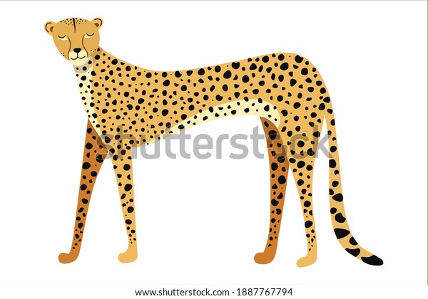 Vector Illustration Beautiful Cheetah Side View Stock Vector (Royalty ...