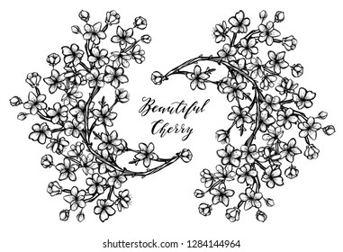 Vector illustration, Beautiful Cherry, branches, flowers, buds, handmade, card for you