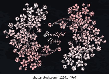 Vector illustration, Beautiful Cherry, branches, flowers, buds, handmade, card for you, background chalkboard