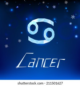 Vector illustration of beautiful christmas zodiac sign