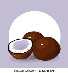 vector illustration with beautiful vector coconuts