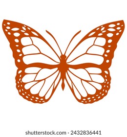 vector illustration of a beautiful and beautiful colored butterfly, also called the most beautiful insect, on a white background