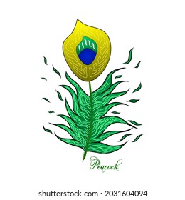 vector illustration of beautiful colored peacock feathers, suitable for t-shirt designs, tattoos, logos, product emblems, canvas paintings, wall decorations, screen printing designs.