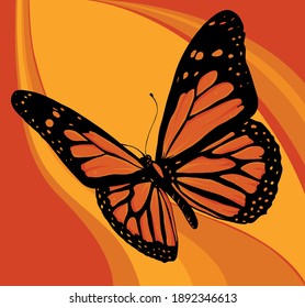 vector illustration of a beautiful colorful butterfly