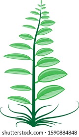 Vector illustration of a beautiful colorful leaf