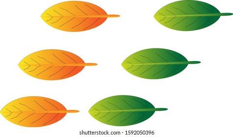 Vector illustration of a beautiful colorful leaf