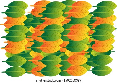 Vector illustration of a beautiful colorful leaf