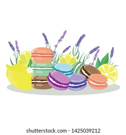 Vector illustration. Beautiful colorful pattern with macaroons, lemons and lavender. White background. 