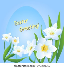 Vector illustration of beautiful daffodils on the blue background. Easter egg. Cute greeting card.Spring white flowers and green leaves.