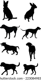Vector illustration of beautiful dog silhouette images new. This eps file is printable and editable. 