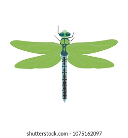 Vector illustration of a beautiful dragonfly on white isolated background. Template for web design, album, postcard, poster.