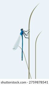 Vector illustration of a beautiful dragonfly sittting in the grass in a meadow,Close-up of damselfly on plant.