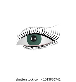 Vector illustration beautiful female blue eye. Woman eye logo beauty symbol.
