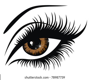 Vector illustration beautiful female brown eye