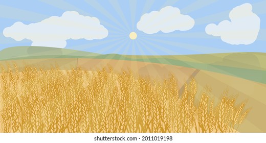 Vector illustration of beautiful field with ripe wheat and blue sky,clouds and shining sun.Horizontal background
