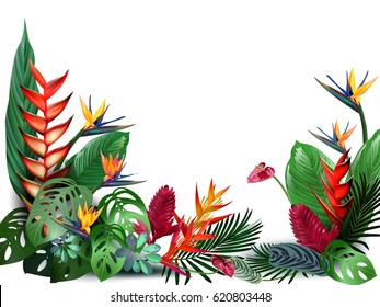 Vector illustration of beautiful flora plants,Tropical flowers in tropical forests among exotic foliage, vines, flowers.South America, Central Africa, Southeast Asia and Australia.